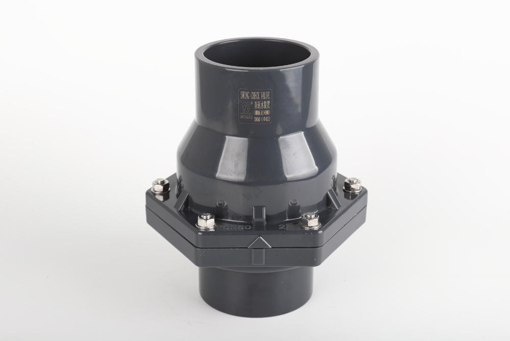 璧山翻板式止回阀