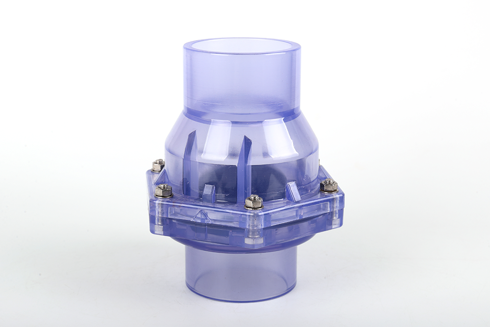 璧山透明翻板式止回阀